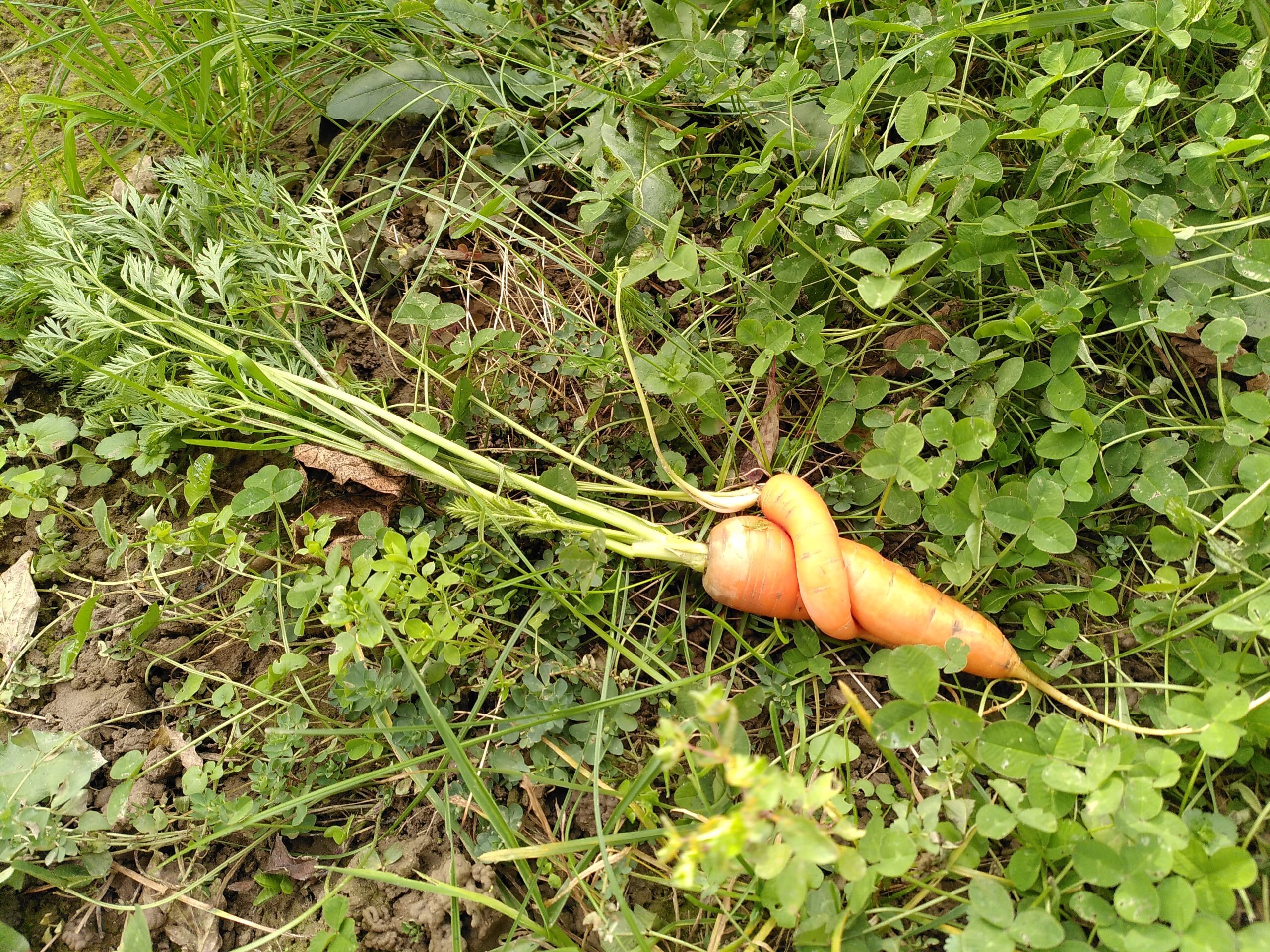 Ein leiser Abschied